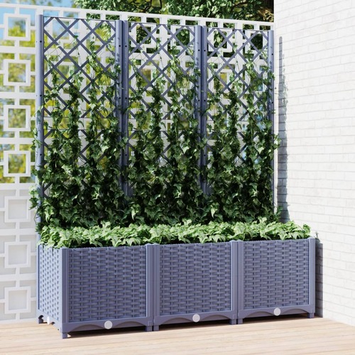 Garden Planter with Trellis Dark Grey 120x40x136 cm PP